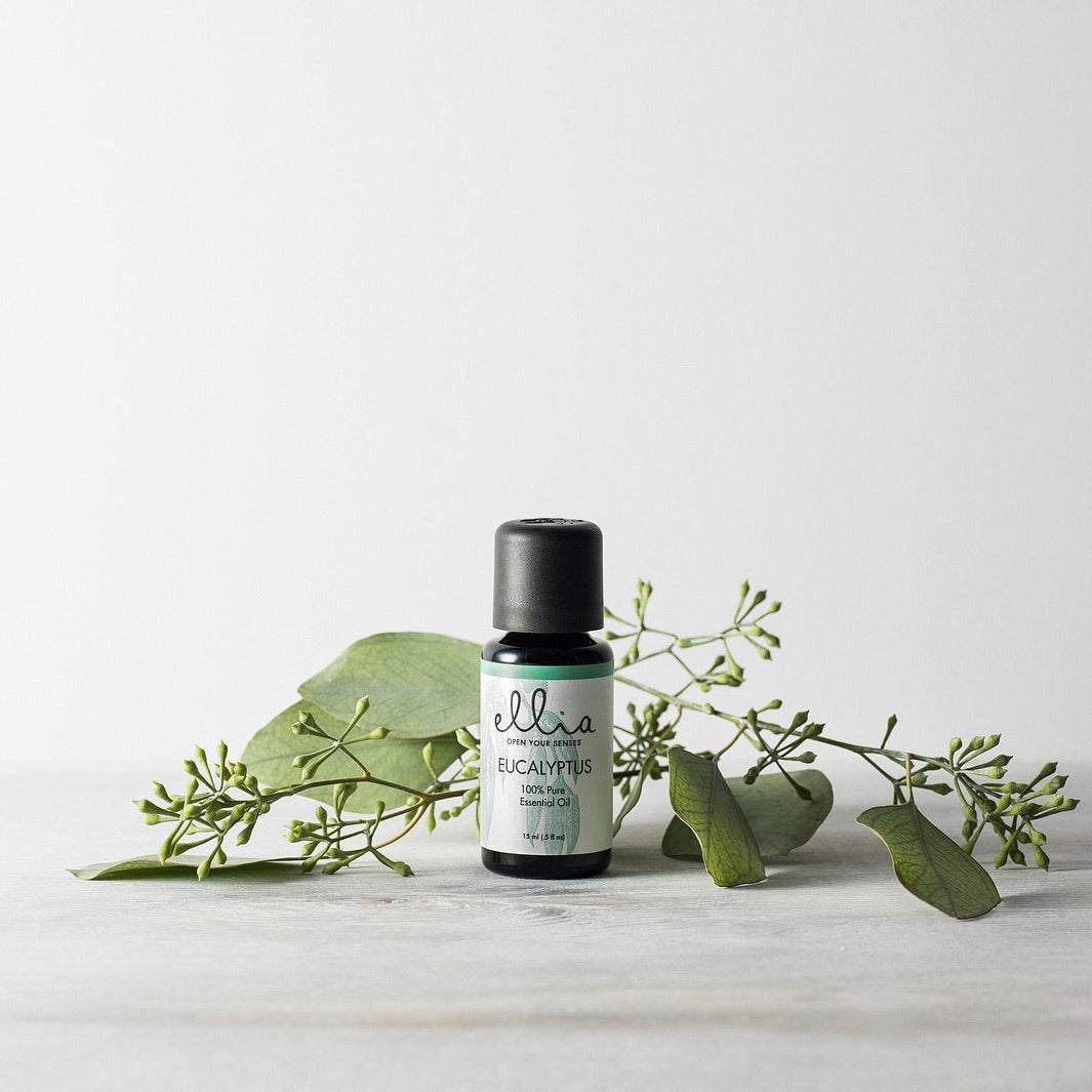 Eucalyptus Essential Oil